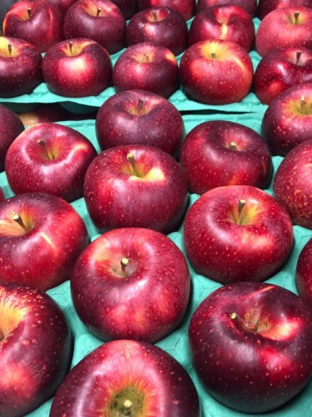 画像1: シナノホッペ　５ｋｇ (1)