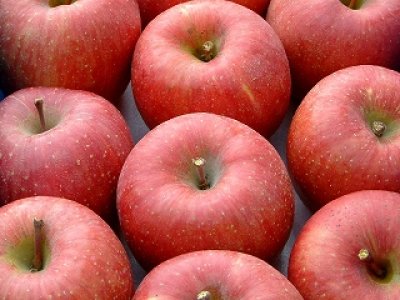 画像2: サンふじ ギフト用りんご５ｋｇ